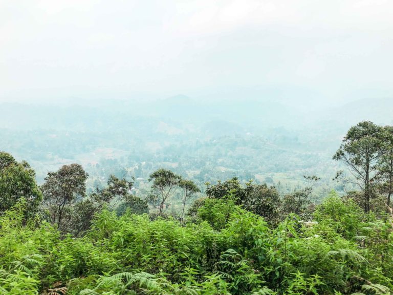 View from the train going from Kandy to Ella in Sri Lanka