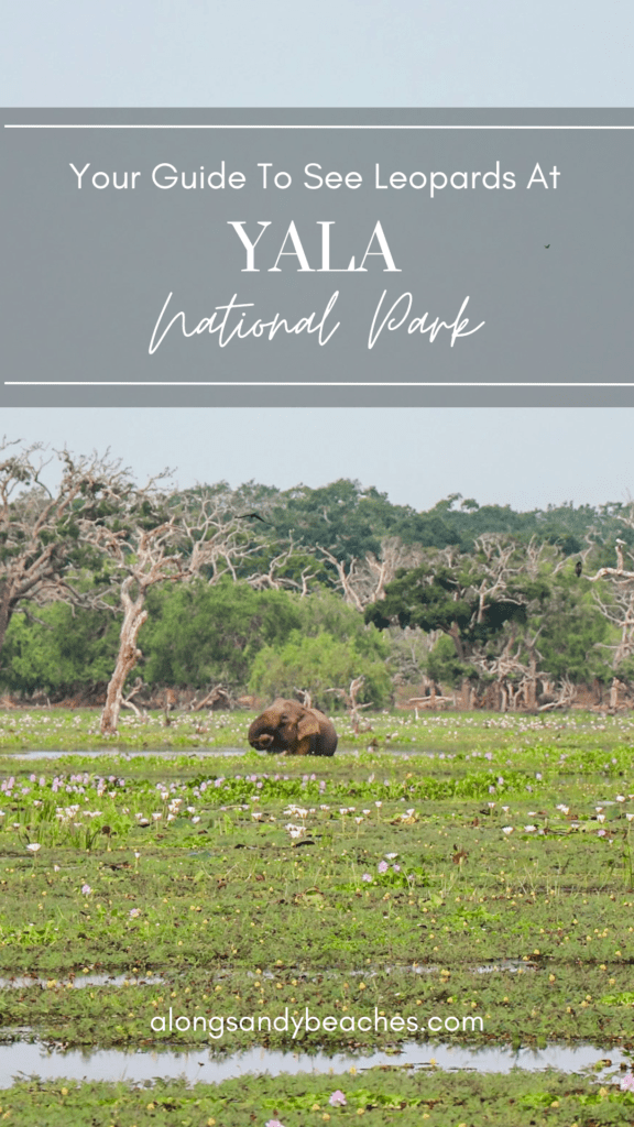 Pinterest - Yala National Park