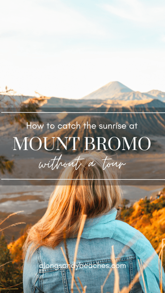 Pinterest - Mount Bromo