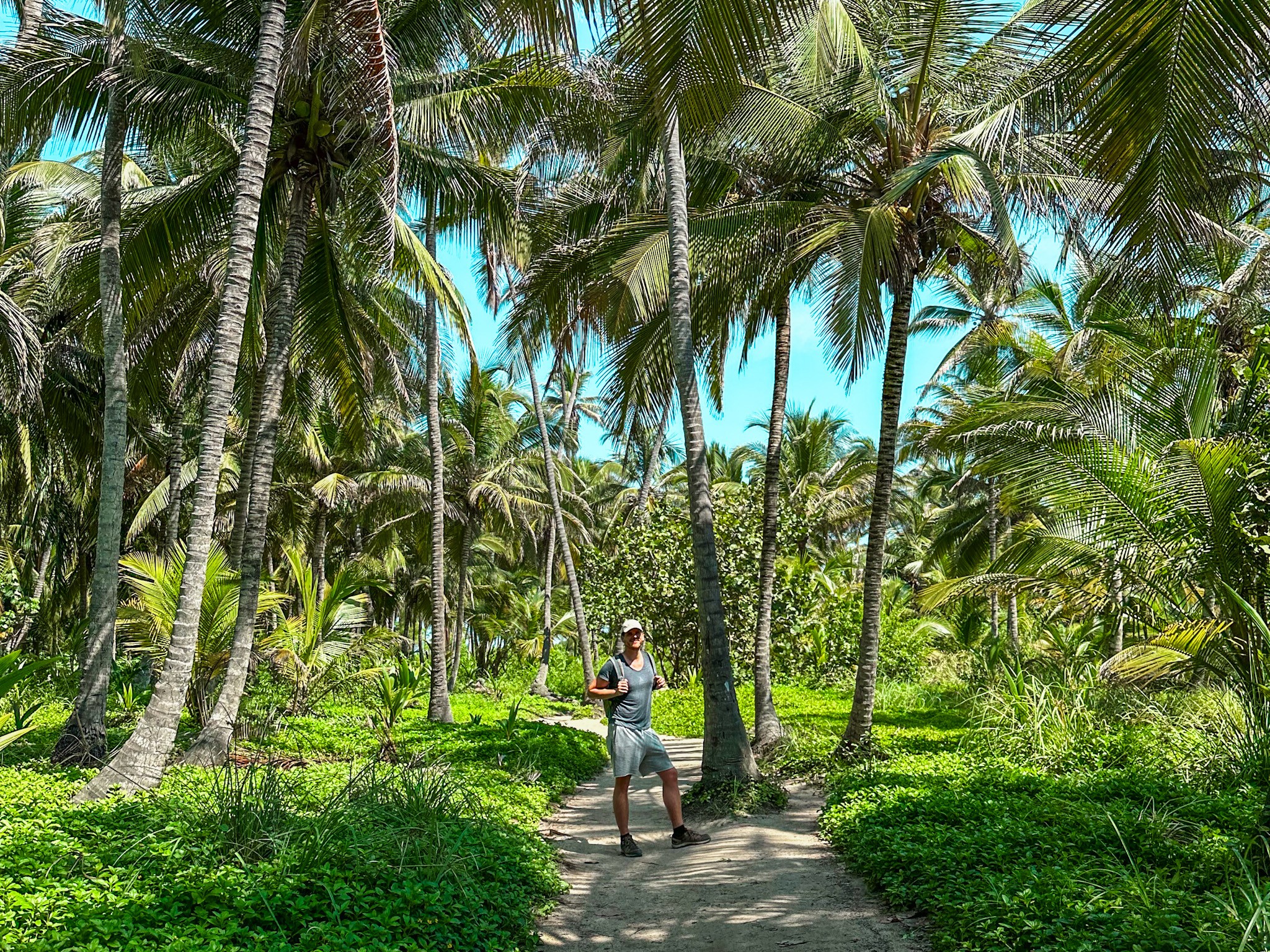 Guide to Tayrona National Park 2023 - Best Things to Do in Tayrona (Palm Trees)