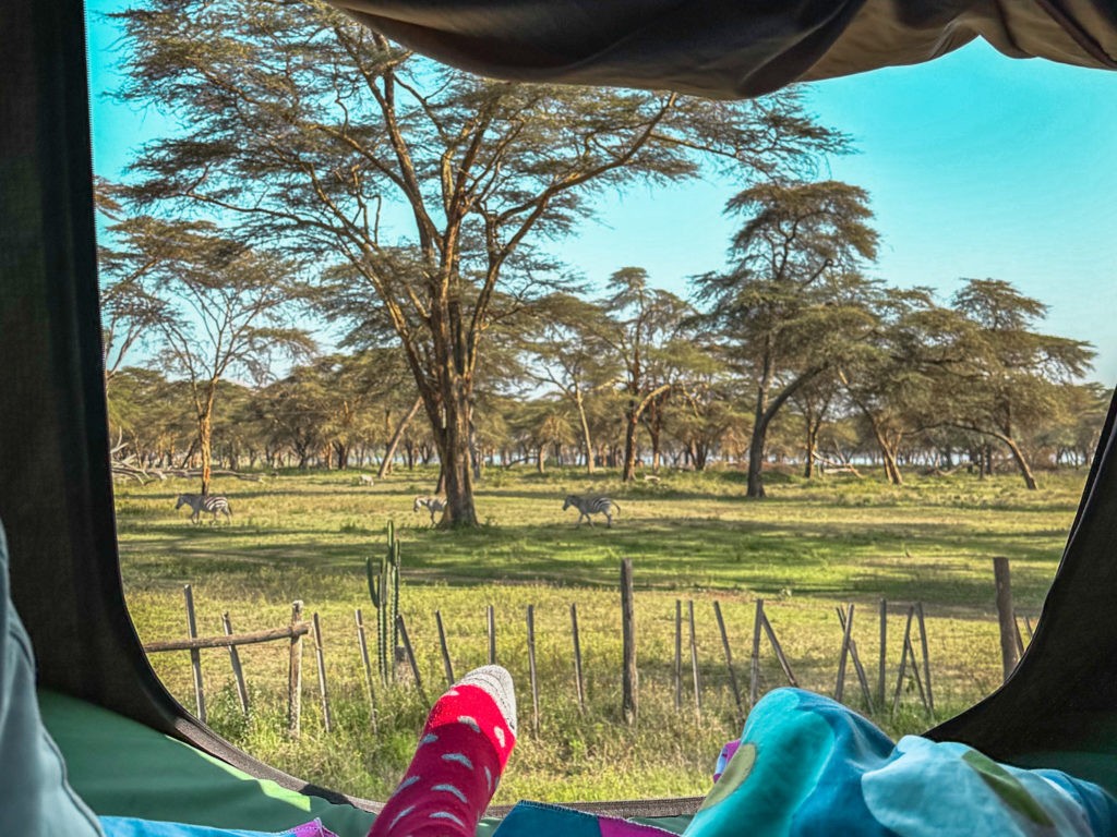 View out of the tent of a camping 4x4 vehicle while traveling Kenya on a budget safari experience.