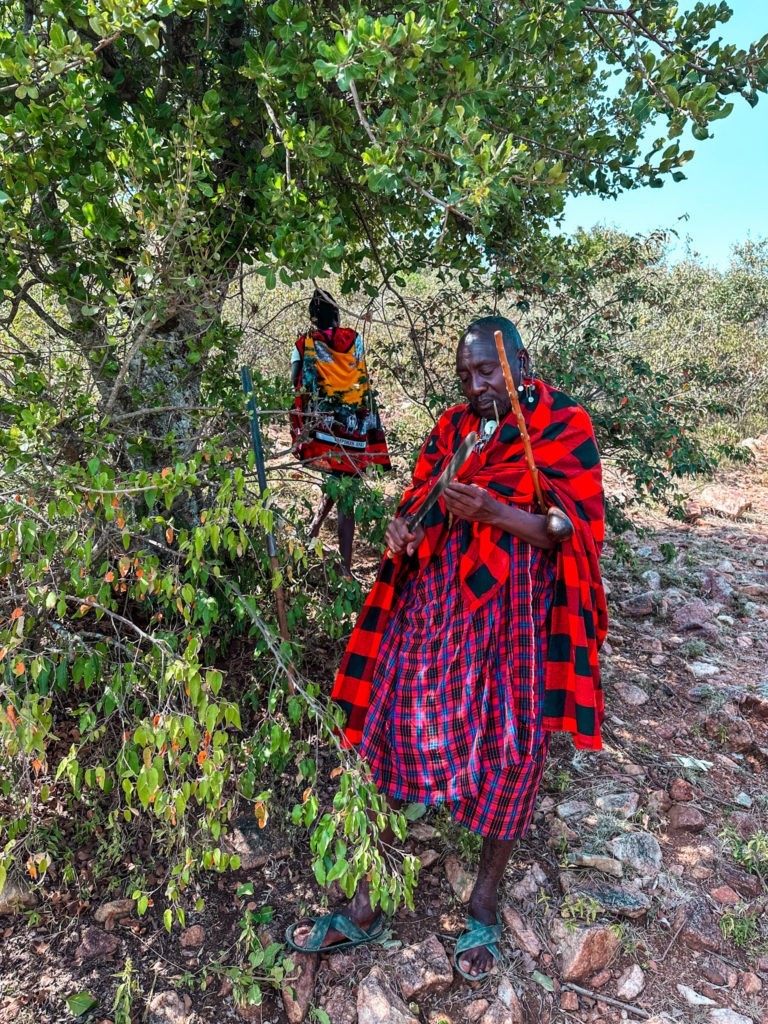 Experiencing Authentic Maasai Culture learning about local fauna