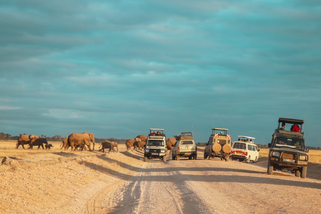 A herd of Elephants crossing the dusty roads during a Safari in Amboseli National Park