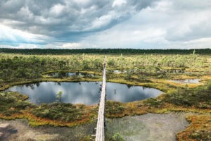 Sustainable Travel Tips - Don't follow travel trends (Estonian Swamp)