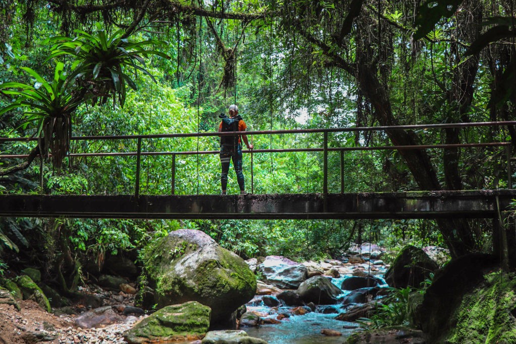 Best Things to do in Minca - Trip to Lost City Ciudad Perdida