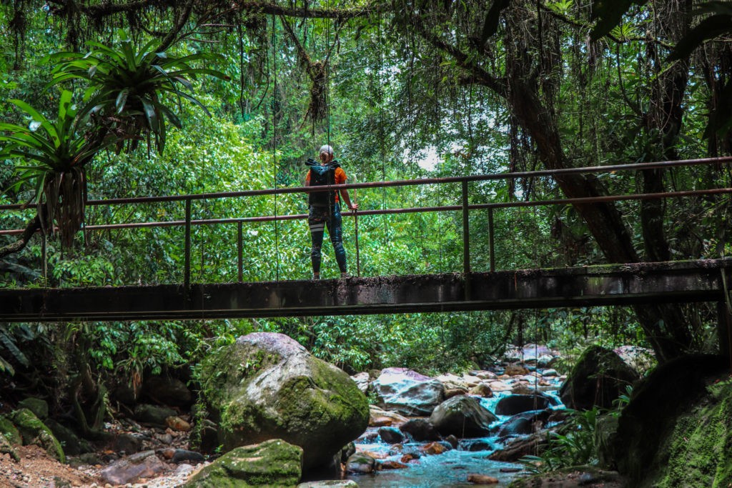 The Lost City trek leading through jungle and across rivers