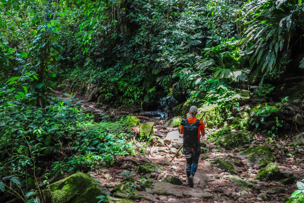 The Lost City trek leading through jungle and rocky tracks