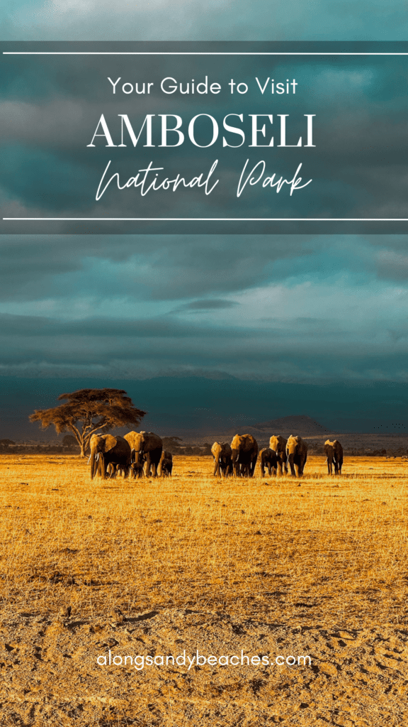 Pinterest Pin - Safari in Amboseli National Park