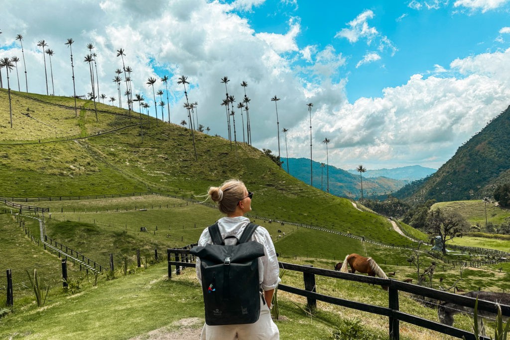 Best Things To Do in Salento - Visit the Valle de Cocora - Standing on a viewpoint in front of palm trees