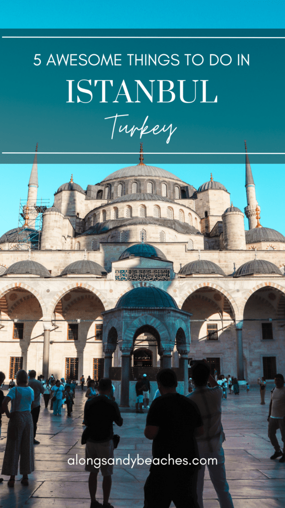 Pinterest Pin - 5 Best Things To Do in Istanbul, Turkey