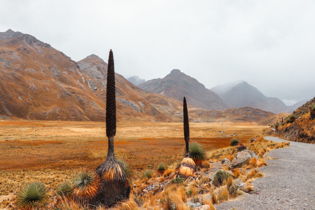 Best hikes in Huaraz: Hike to the Pastoruri Glacier