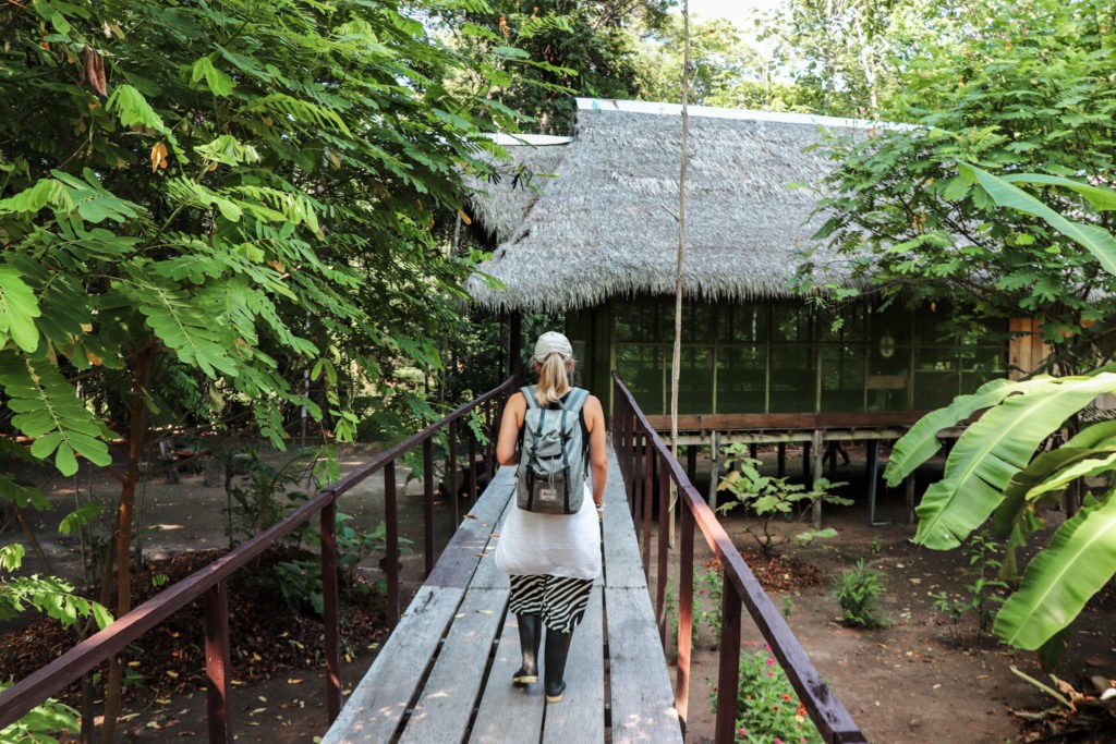 Amazon Rainforest in Peru - Jungle Lodge