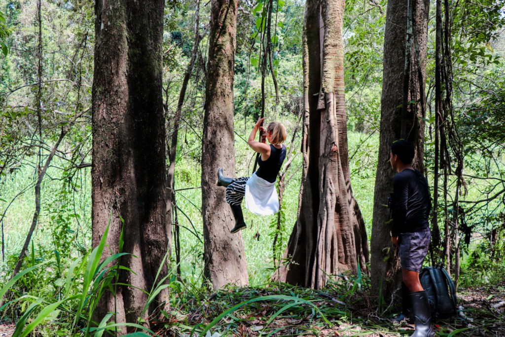 Amazon Rainforest in Peru - Jungle Swing
