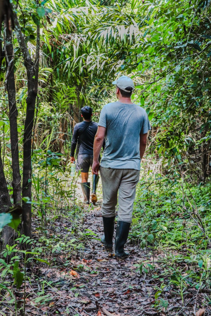 Best things to do in Iquitos: Go on a jungle adventure