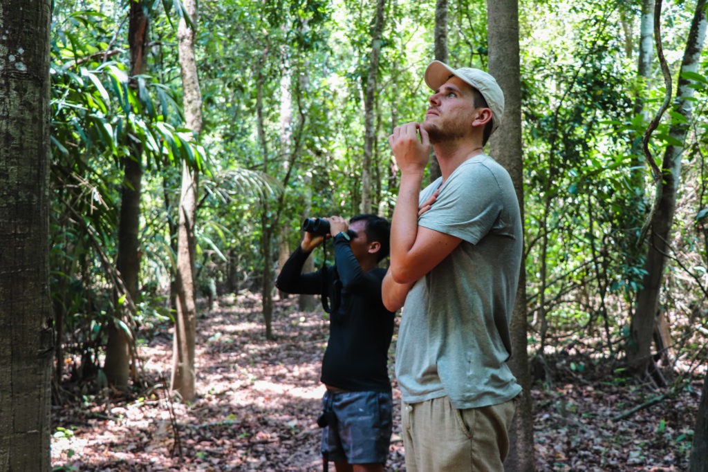 Amazon Rainforest in Peru - Jungle Walk