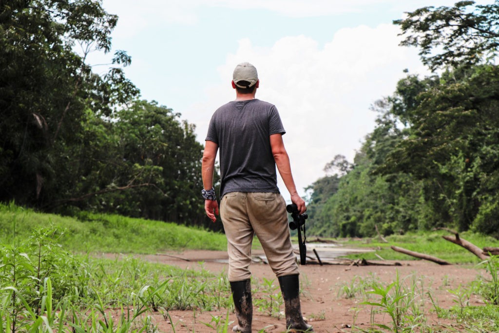 Amazon Rainforest in Peru - Wildlife Expedition