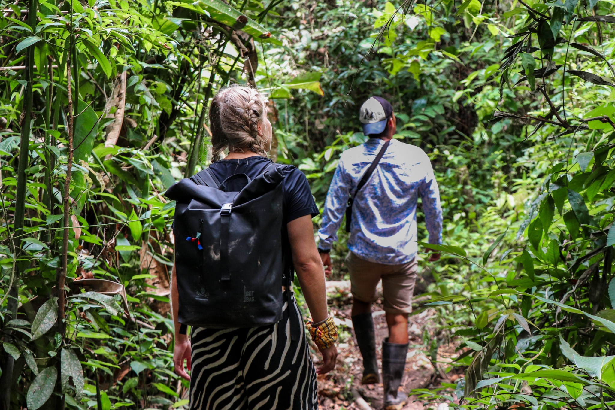 Amazon Rainforest in Peru - Explore the Jungle