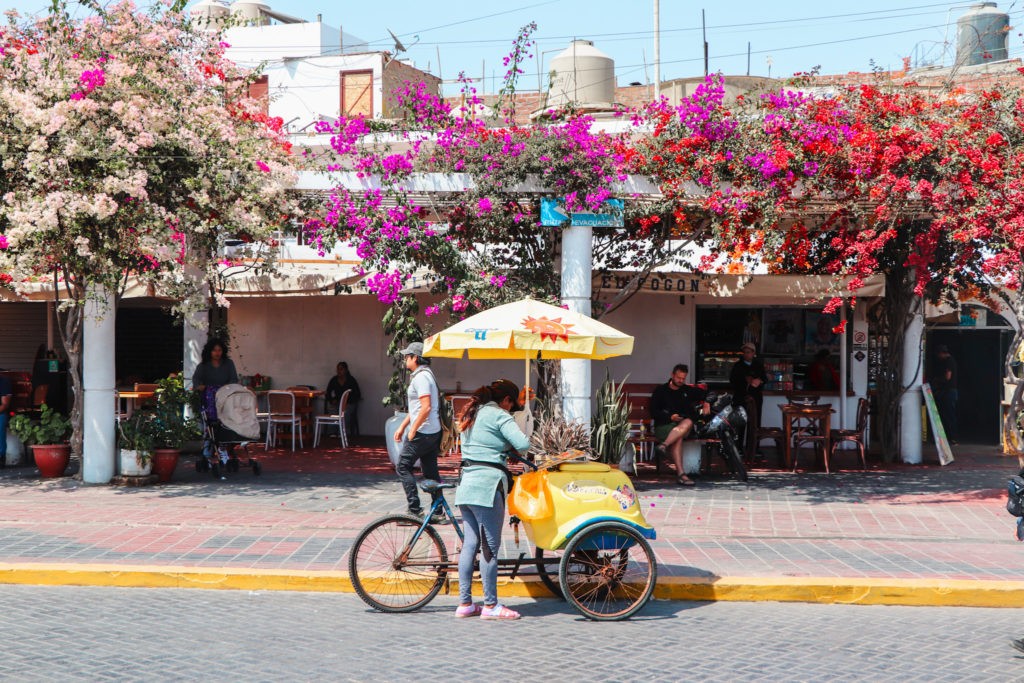 Best things to do in Paracas - how to get around Paracas