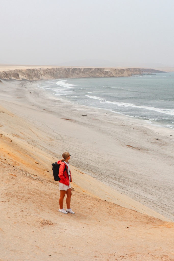 Best things to do in Paracas - visit the Paracas National Reserve