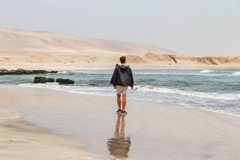 Best Things to Do in Paracas - Hero Image (Paracas National Park Beach)