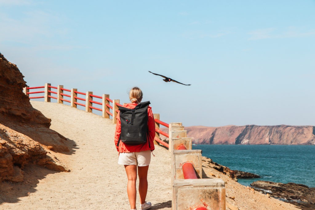 Paracas National Reserve Guide - Popular beach La Mina