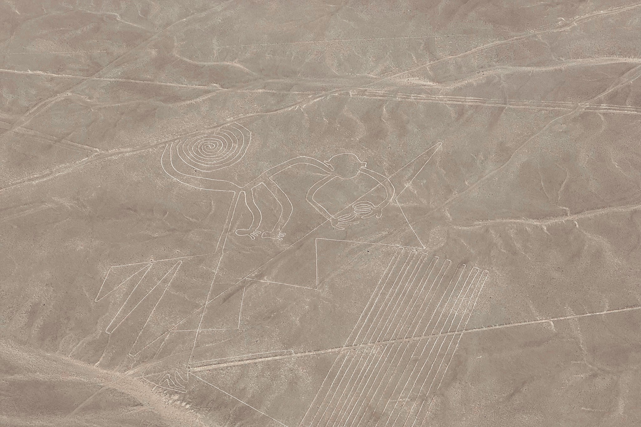 Nazca Travel Guide: Nazca Lines (Monkey)