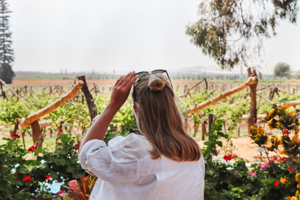 Huacachina Travel Guide: Pisco and wine tour in Tacama winery