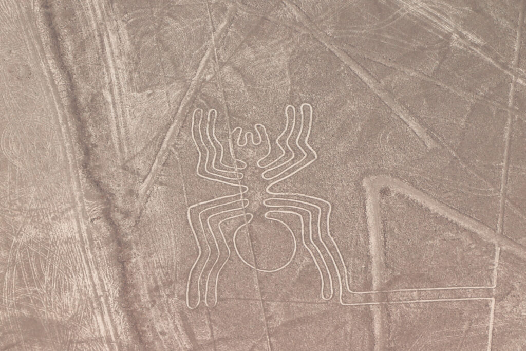 Huacachina Travel Guide: Nazca Lines (Spider)