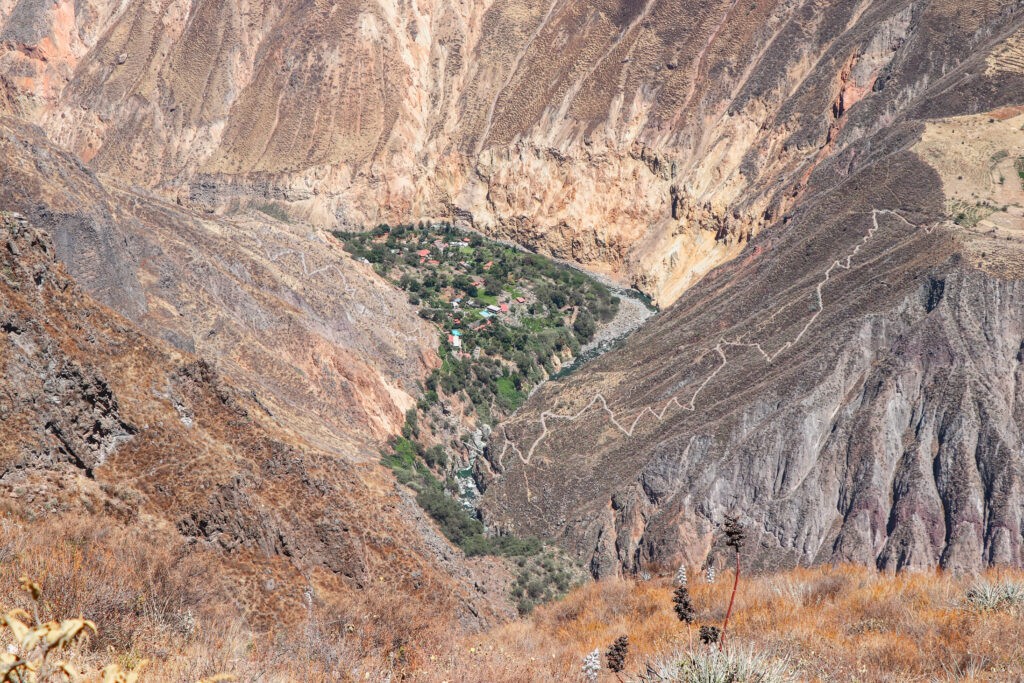 Colca Canyon Guide: Views over the oasis Sangalle in the Colca Canyon