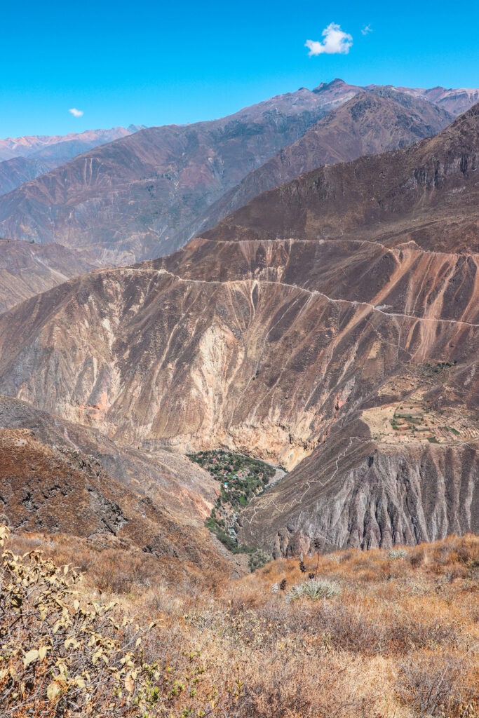 Best things to do in Arequipa: Hike in the Colca Canyon