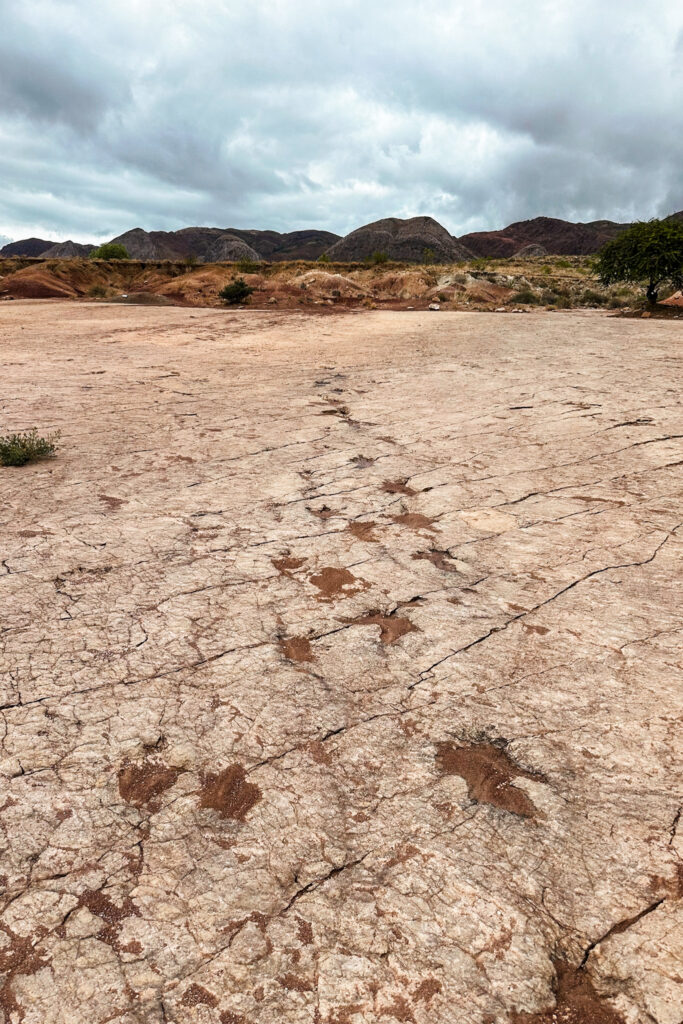 Best Things to Do in Cochabamba, Bolivia: Admire dinosaur footprints in Torotoro national park