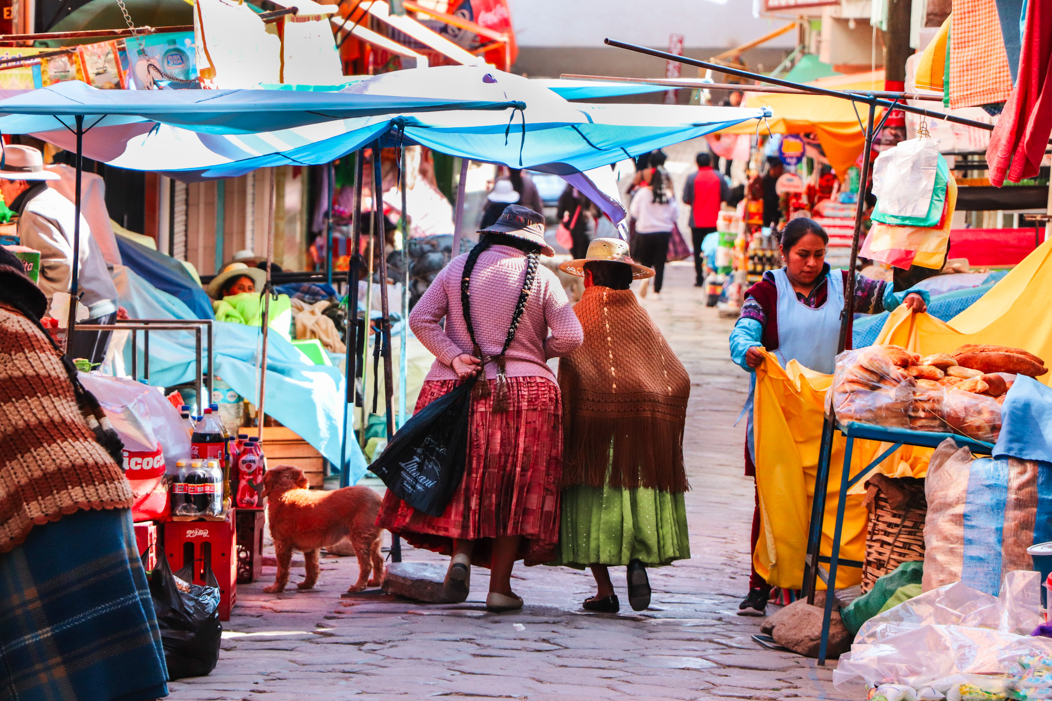 Best Things to Do in Copacabana - Cholitas at a local market in Copacabana, Bolivia