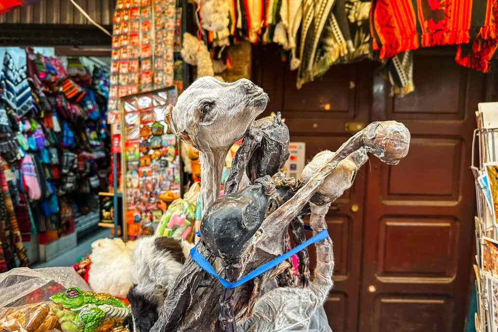 Things to do in La Paz, Bolivia: Explore the mystical witches' market