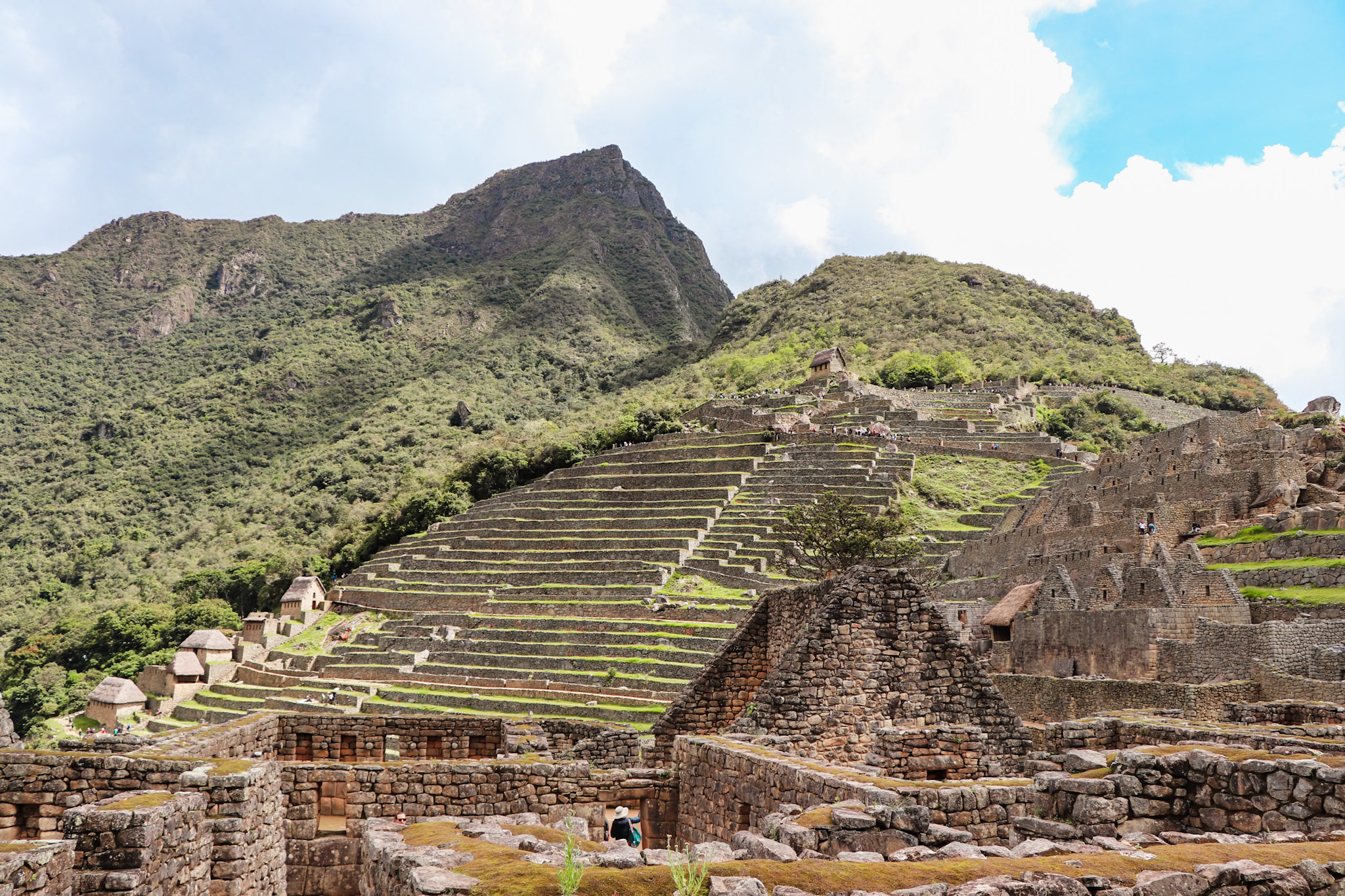 Interesting Facts about Machu Picchu in Peru: Agricultural terraces were used to grow corn and potatoes