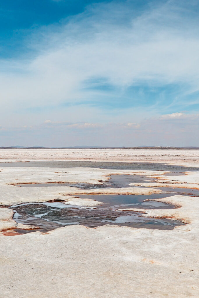 Uyuni Travel Guide: Ojos del Sal, where freshwater springs bubbling up from beneath the salt crust