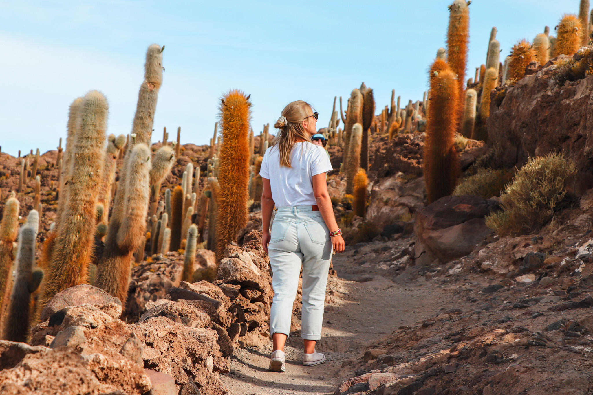 Uyuni Salt Flat Travel Guide: Walking among the giant cacti on Isla Incahuasi