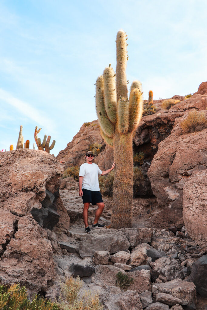 Uyuni Salt Flat Travel Guide: A giant cactus on Isla Incahuasi