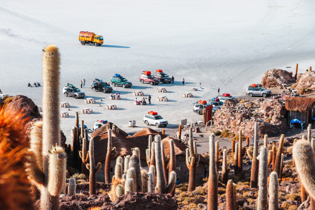 Uyuni Salt Flat Travel Guide: Isla Incahuasi is an island in the middle of Salar de Uyuni which is full of giant cacti