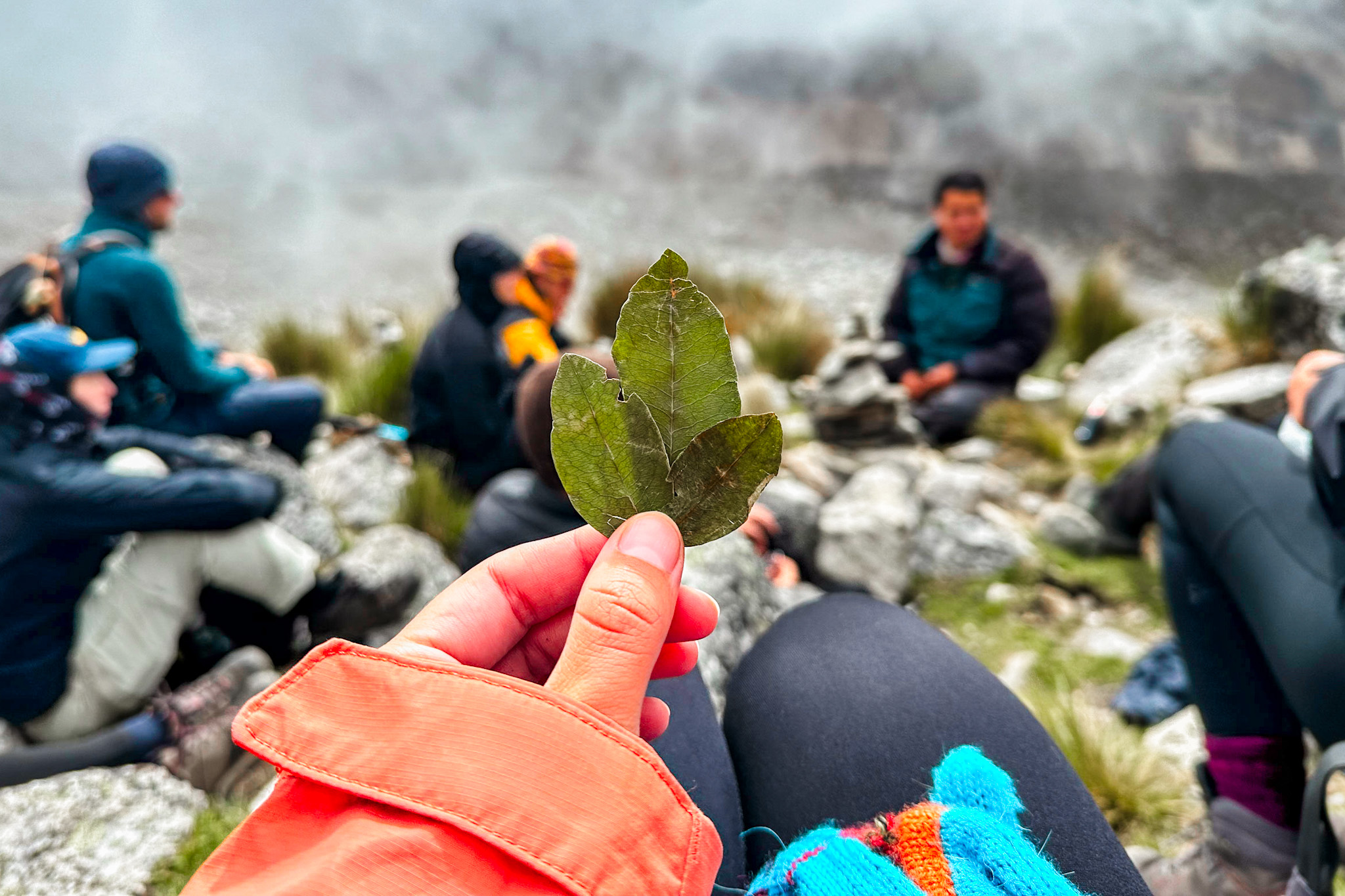 How to avoid altitude sickness in Peru: Holding coca leaves as remedy against altitude sickness